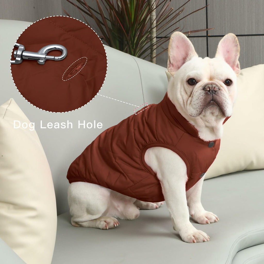JoyDaog 2 Layers Fleece Lined Warm Dog Jacket for Puppy Winter Cold Weather,Soft