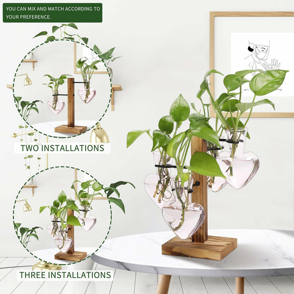CYZglass Plant Terrarium Propagation Stations with Wooden Stand, Glass Vase for