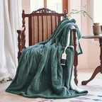 Texciting Heated Blanket Electric Blanket Throw 50''X60''-Heating Throw with 9