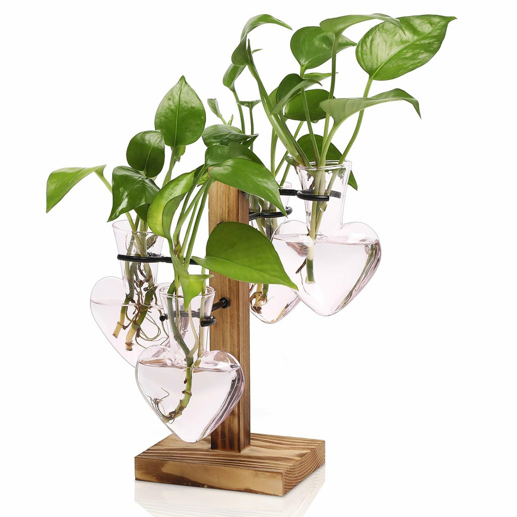 CYZglass Plant Terrarium Propagation Stations with Wooden Stand, Glass Vase for