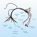 OPEN BOX - EOPOAYI Electric Wiring Harness Kit Compatible with Taotao Coolster