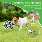 TBC PET Dog Toys Soccer Ball with Straps, Interactive for Tug of War, Puppy