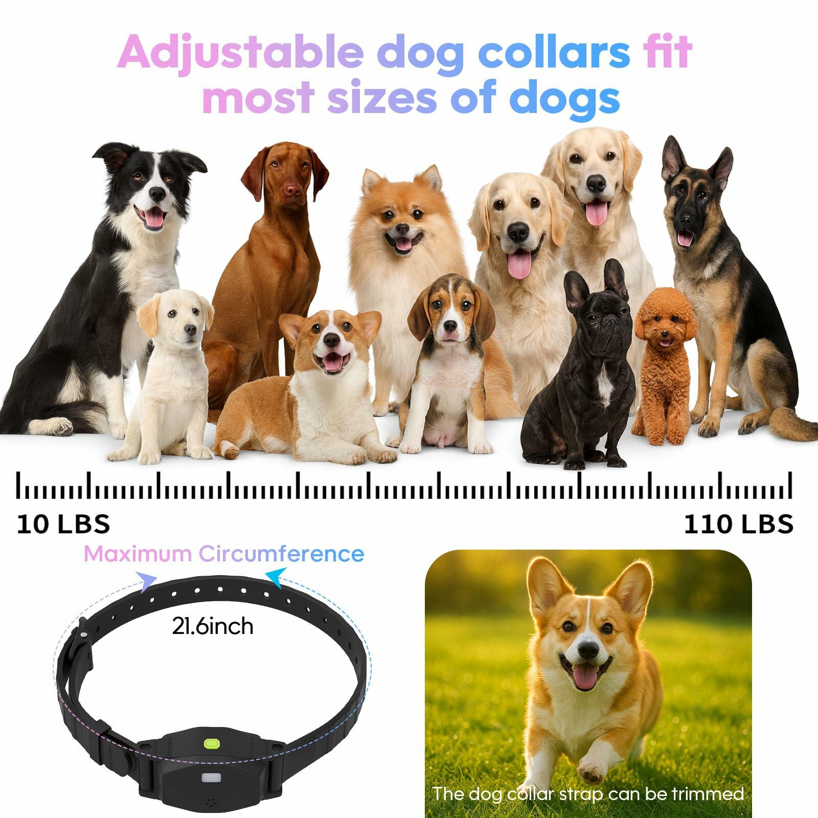 Beatails Wireless Dog Fence System for 2 Dogs with Lighting, Adjustable 5 in 1