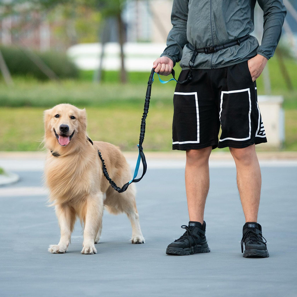 iYoShop Retractable Hands Free Dog Leash - Dual Handle Bungee Waist Leash for