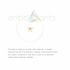 DermaQuest C Infusion Facial Cleanser - Vitamin C, Antioxidant, & Brightening