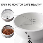 Y YHY Elevated Cat Food Bowl, Raised Food and Water Bowl for Cat and Small Dog,