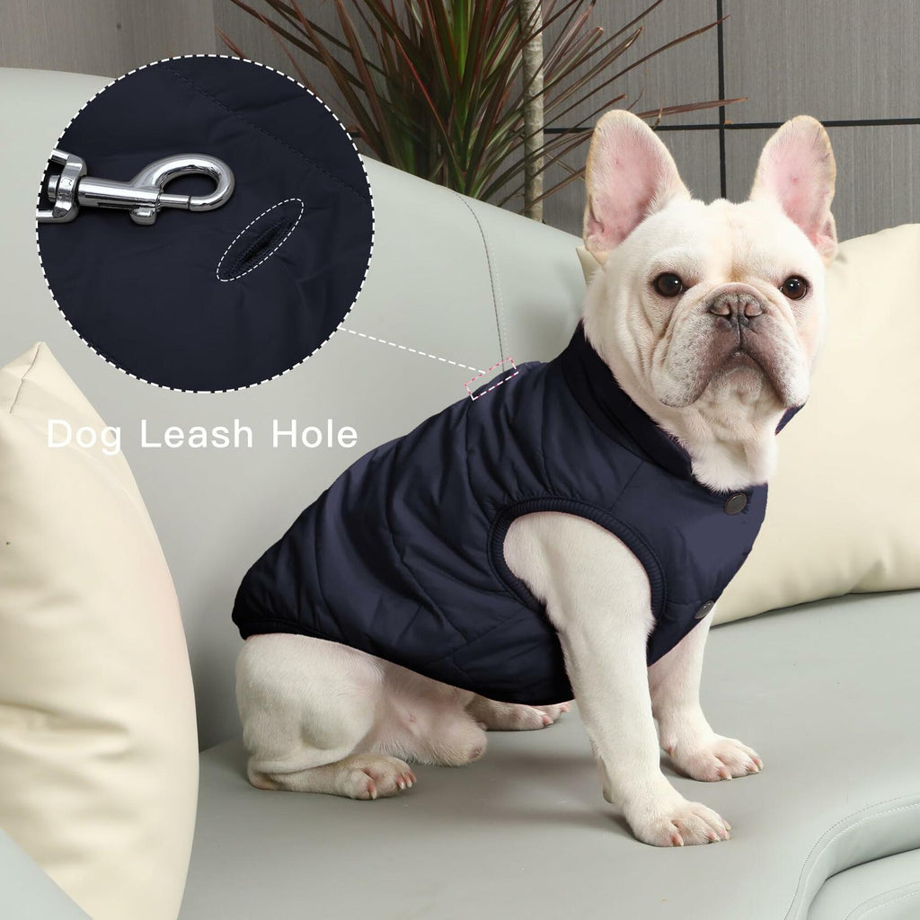 JoyDaog 2 Layers Fleece Lined Warm Dog Jacket for Winter Cold Weather,Soft