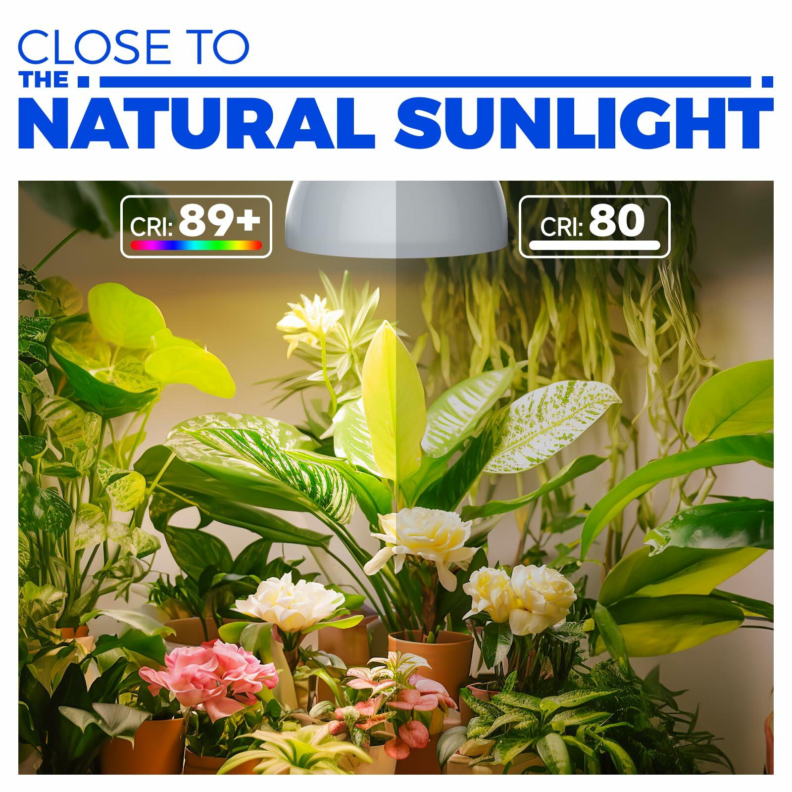 Barrina Hanging Grow Lights for Indoor Plants, 25W Full Spectrum, with Timer and