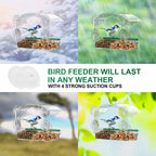 BPYOT Clear Acrylic Window Bird Feeder for Outside with 4 Strong Suction Cups