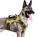 WINGOIN Tactical Dog Harness for Small Dogs, No Pull Harness with Handle 2