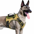 WINGOIN Tactical Dog Harness for Small Dogs, No Pull Harness with Handle 2