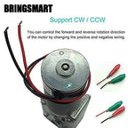 BRINGSMART 12V 16rpm DC Worm Gear Motor 70kg.cm High Torque Turbine Electric