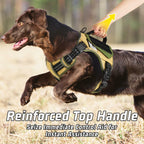 WINGOIN Tactical Dog Harness for Small Dogs, No Pull Harness with Handle 2