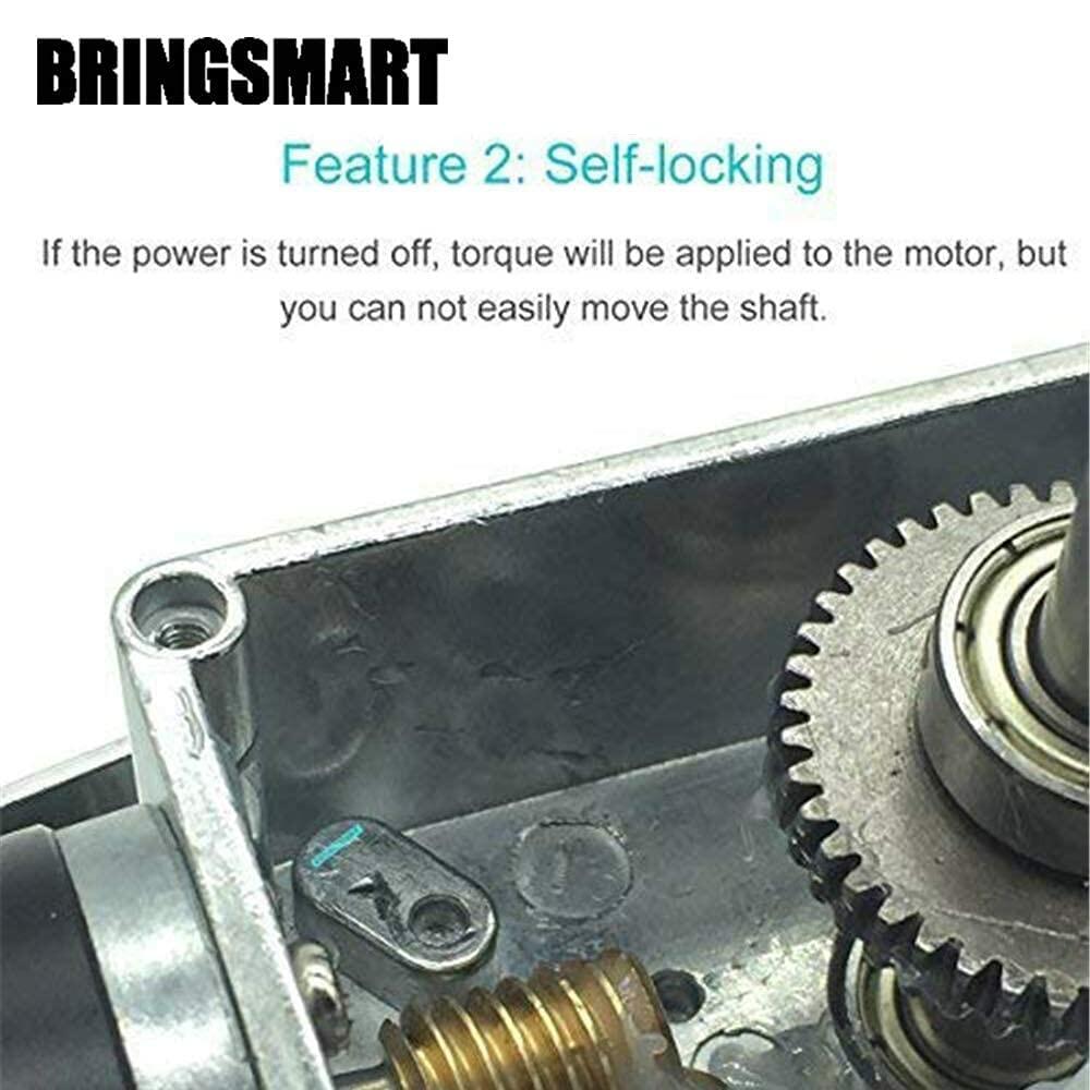 BRINGSMART 12V 16rpm DC Worm Gear Motor 70kg.cm High Torque Turbine Electric