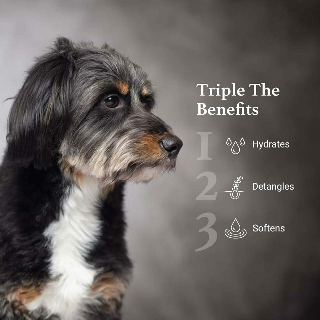 iGroom Silicone Free 3-1 Dog Conditioning/Detangling Spray, Luxury Pet Beauty