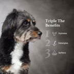 iGroom Silicone Free 3-1 Dog Conditioning/Detangling Spray, Luxury Pet Beauty