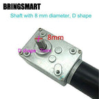 BRINGSMART 12V 16rpm DC Worm Gear Motor 70kg.cm High Torque Turbine Electric