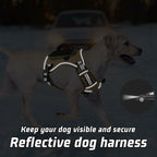WINGOIN Tactical Dog Harness for Small Dogs, No Pull Harness with Handle 2