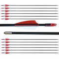 e5e10 28 inch Target Arrows Practice Fiberglass Arrow for Kids Youth Beginner,