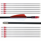 e5e10 28 inch Target Arrows Practice Fiberglass Arrow for Kids Youth Beginner,