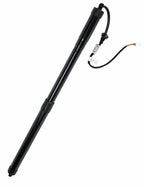 TCFWED Power Lift Support Shock Strut Compatible with Lexus RX350 RX450h