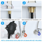 HANLIAN Single Hole Bathroom Pull Out Faucet with Rotating Spout, One Handle