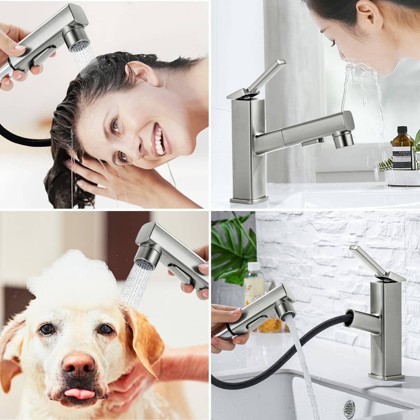 HANLIAN Single Hole Bathroom Pull Out Faucet with Rotating Spout, One Handle