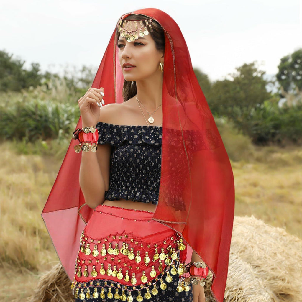 4Pcs Belly Dance Outfit Sets, Belly Dance Chiffon Hip Scarf with Coins, Gypsy