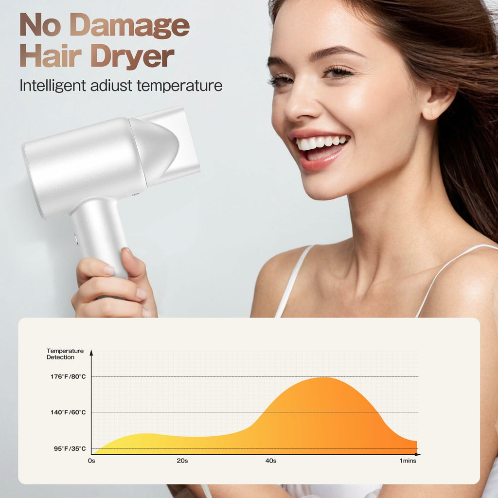 Labiim Hair Dryer, High-Speed Ionic Low Noise Blow Dryer with Brushless Motor