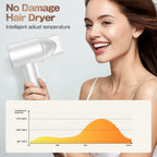 Labiim Hair Dryer, High-Speed Ionic Low Noise Blow Dryer with Brushless Motor