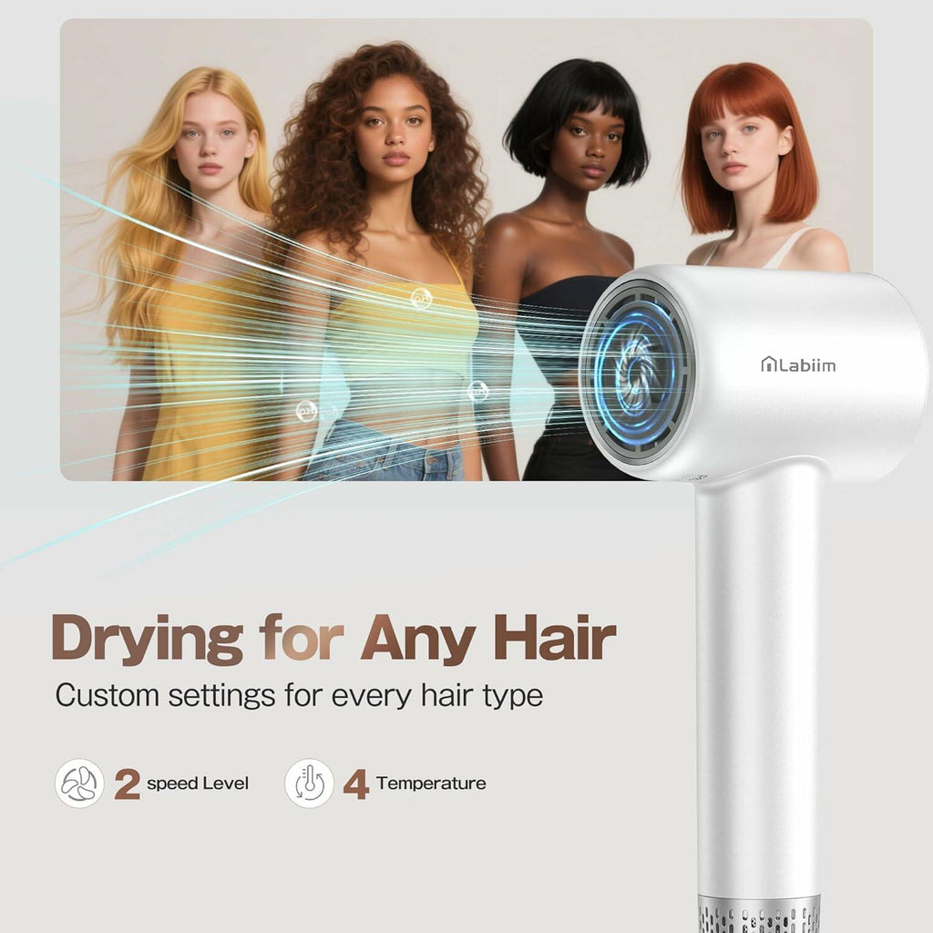 Labiim Hair Dryer, High-Speed Ionic Low Noise Blow Dryer with Brushless Motor
