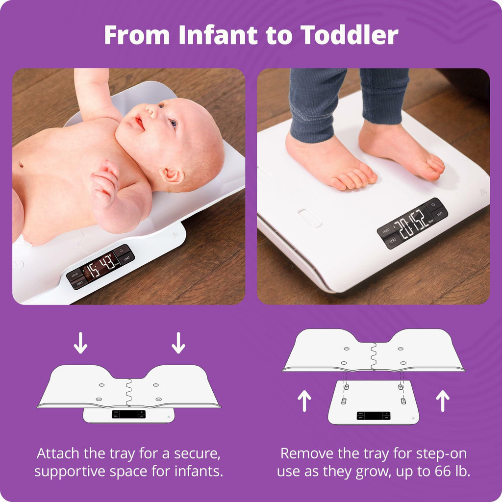Smart Baby Scale Bluetooth Digital Infant Newborn Toddler Growth Track 66lb Cap