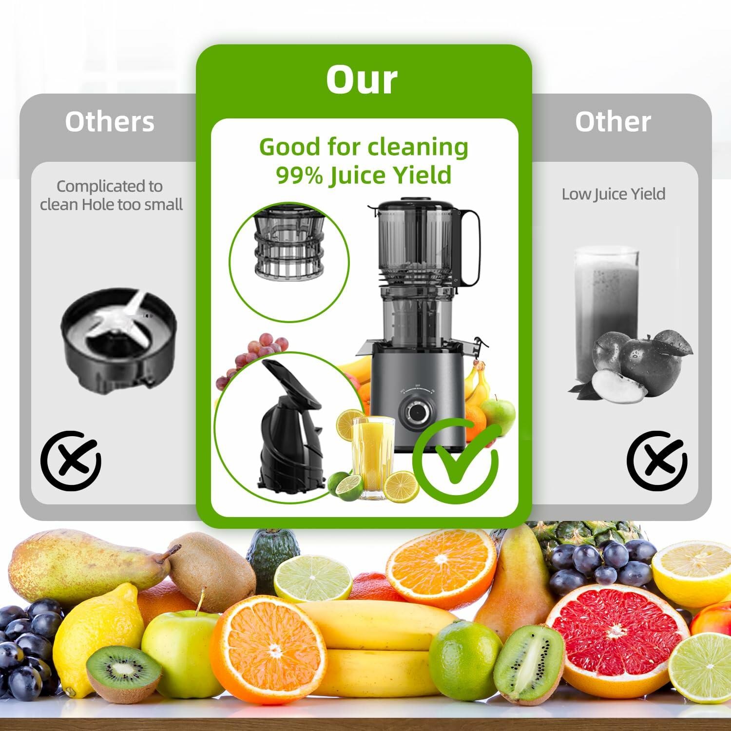 Budsom Cold Press Juicer Machine: 300W Slow Masticating Juicer for Whole Fruits