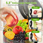 Budsom Cold Press Juicer Machine: 300W Slow Masticating Juicer for Whole Fruits