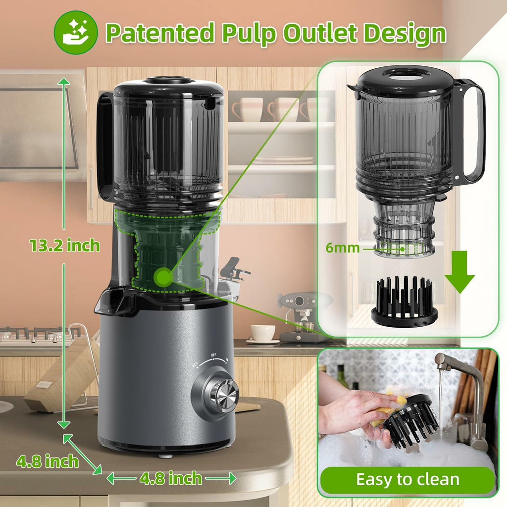 Budsom Cold Press Juicer Machine: 300W Slow Masticating Juicer for Whole Fruits