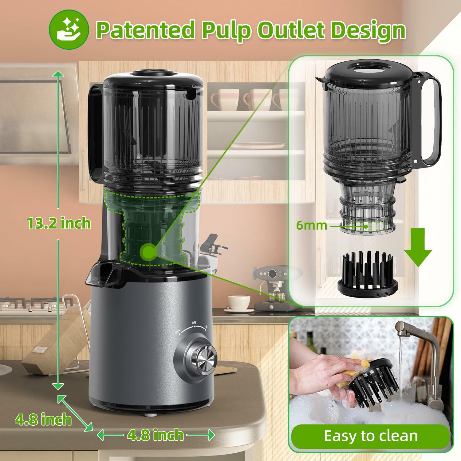 Budsom Cold Press Juicer Machine: 300W Slow Masticating Juicer for Whole Fruits