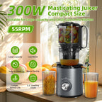 Budsom Cold Press Juicer Machine: 300W Slow Masticating Juicer for Whole Fruits
