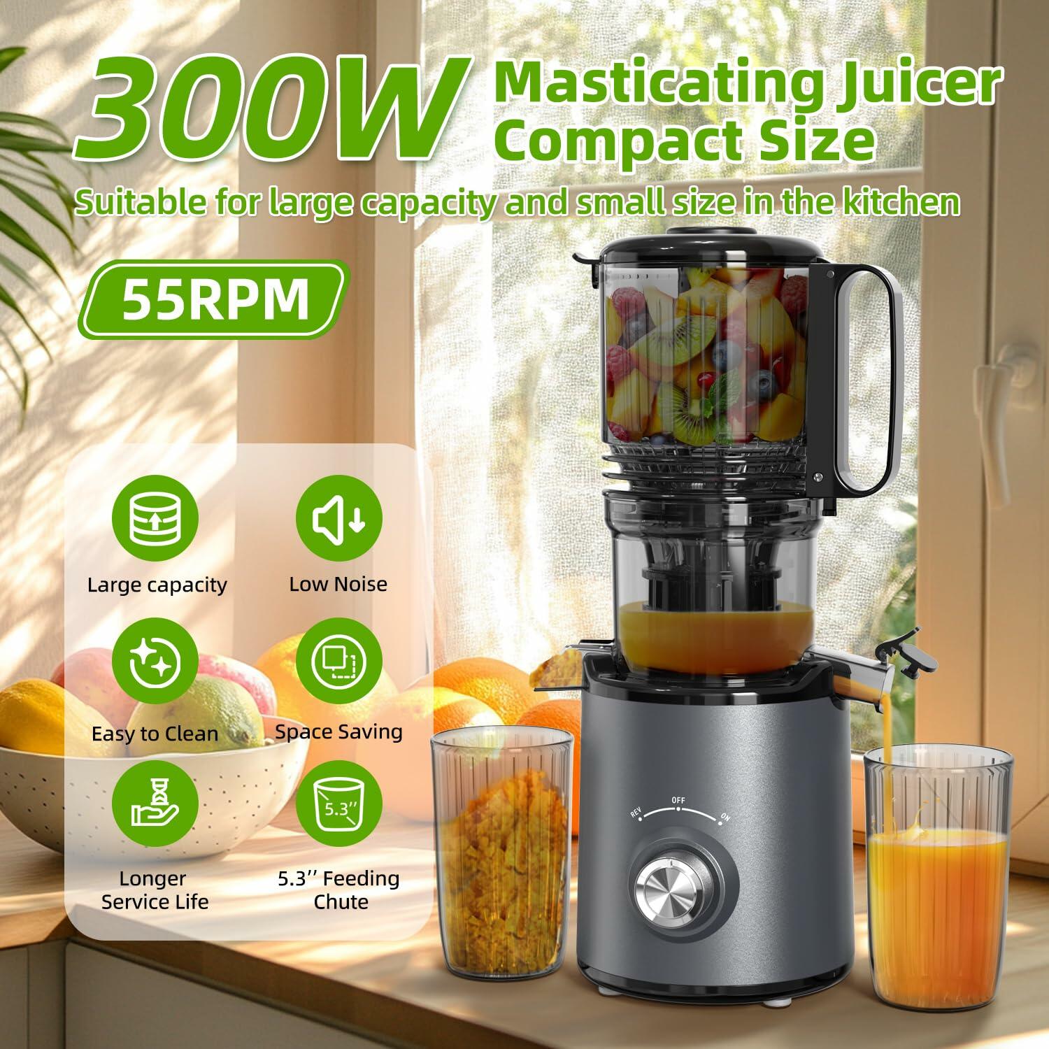 Budsom Cold Press Juicer Machine: 300W Slow Masticating Juicer for Whole Fruits