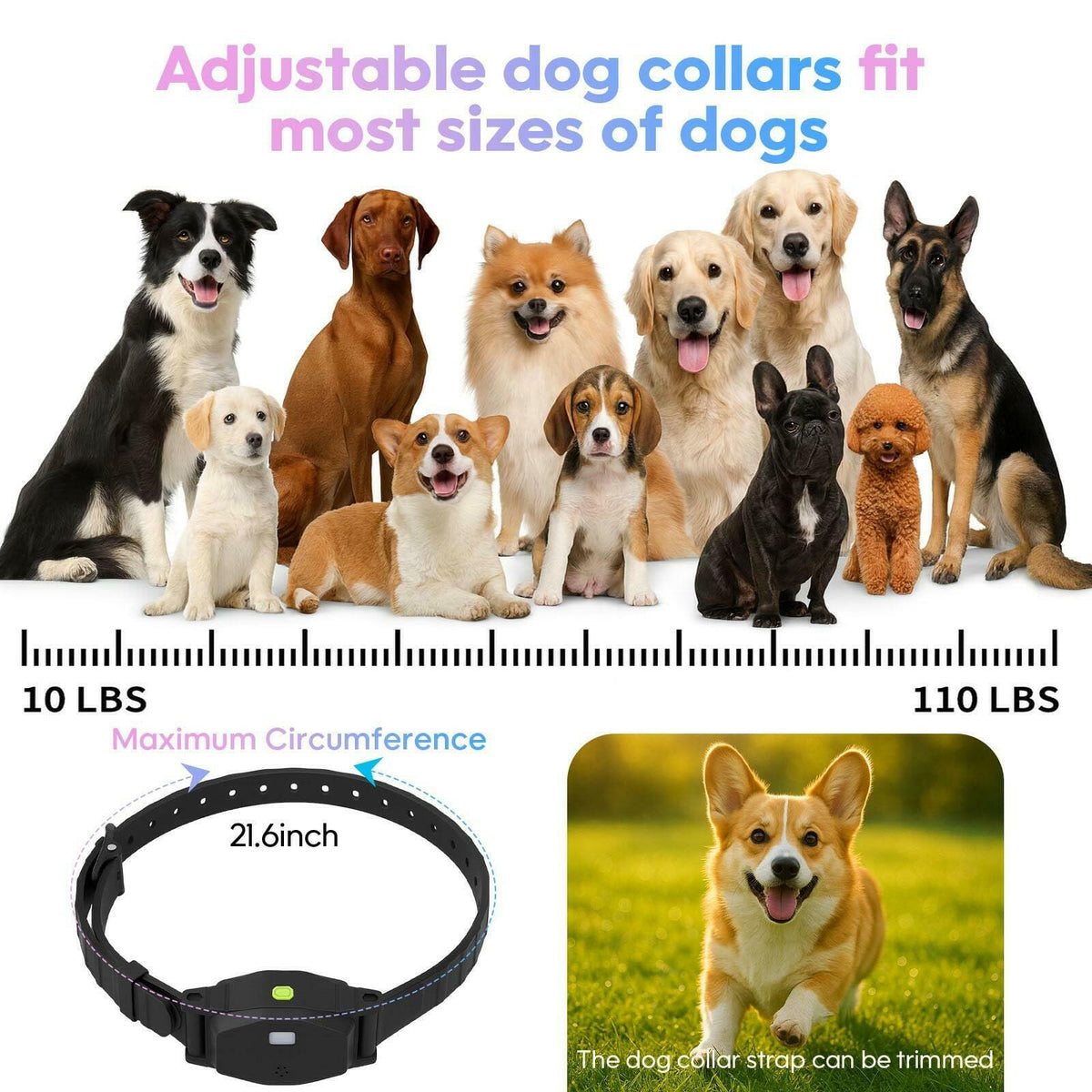 Beatails Wireless Dog Fence System for 2 Dogs with Lighting, Adjustable 5 in 1