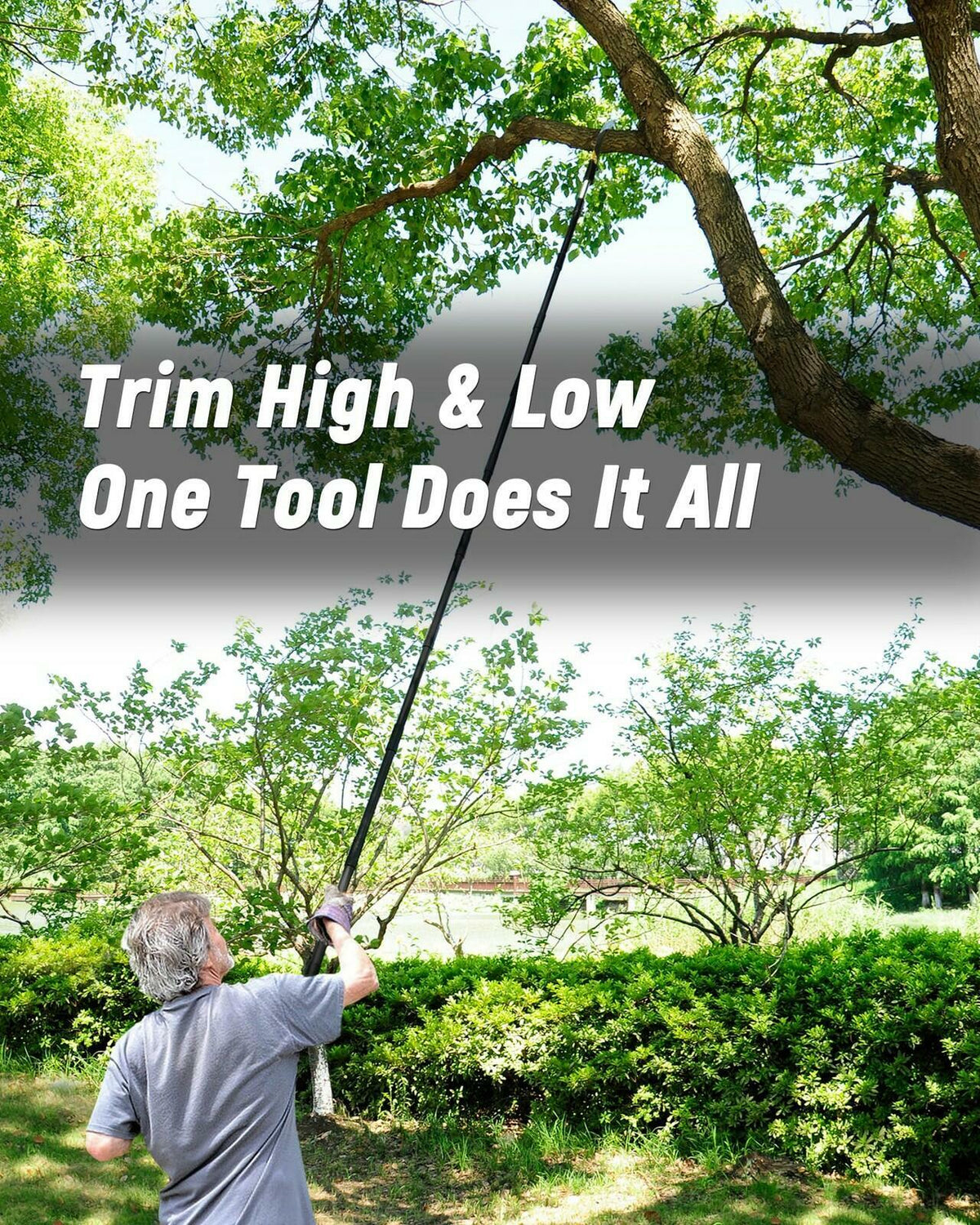 BlumeTrec 11FT Pole Saw with Adjustable Length for Tree Trimming, Lightweight